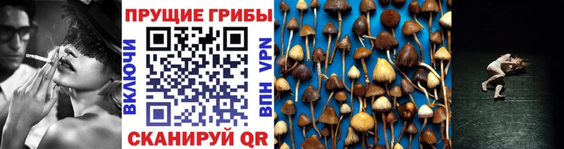 где найти   Нижний Тагил  гидра зеркало  Псилоцибиновые грибы Magic Shrooms 
